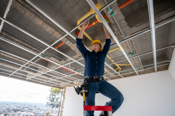 Best Plumbing Inspection Services  in Collinsville, CT